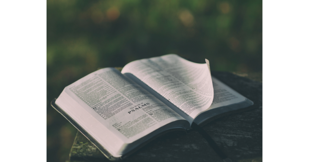 bible study essentials for busy Christian women