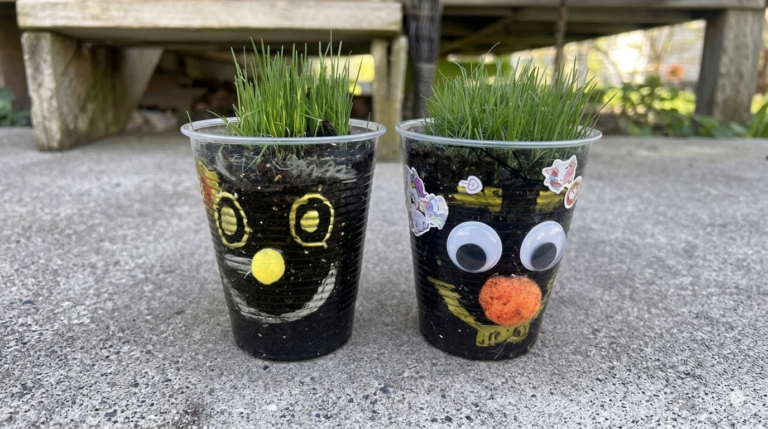 Finished craft from the grass in the cup activity