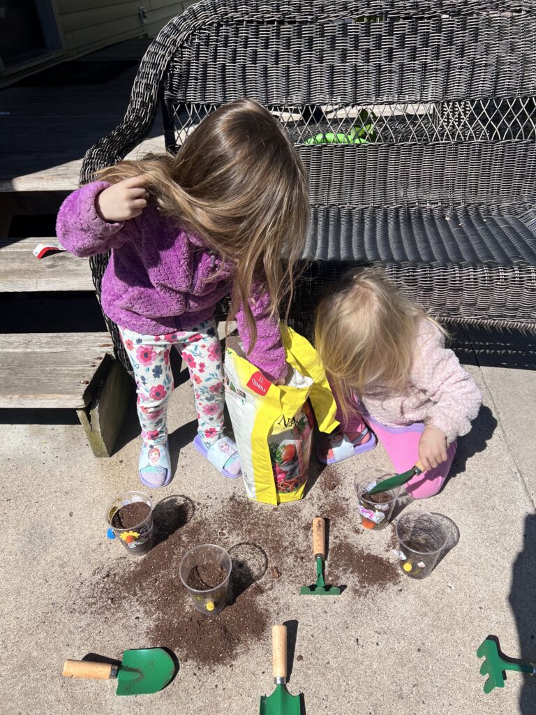 Scooping soil outside for a messy grass in a cup activity for toddlers.