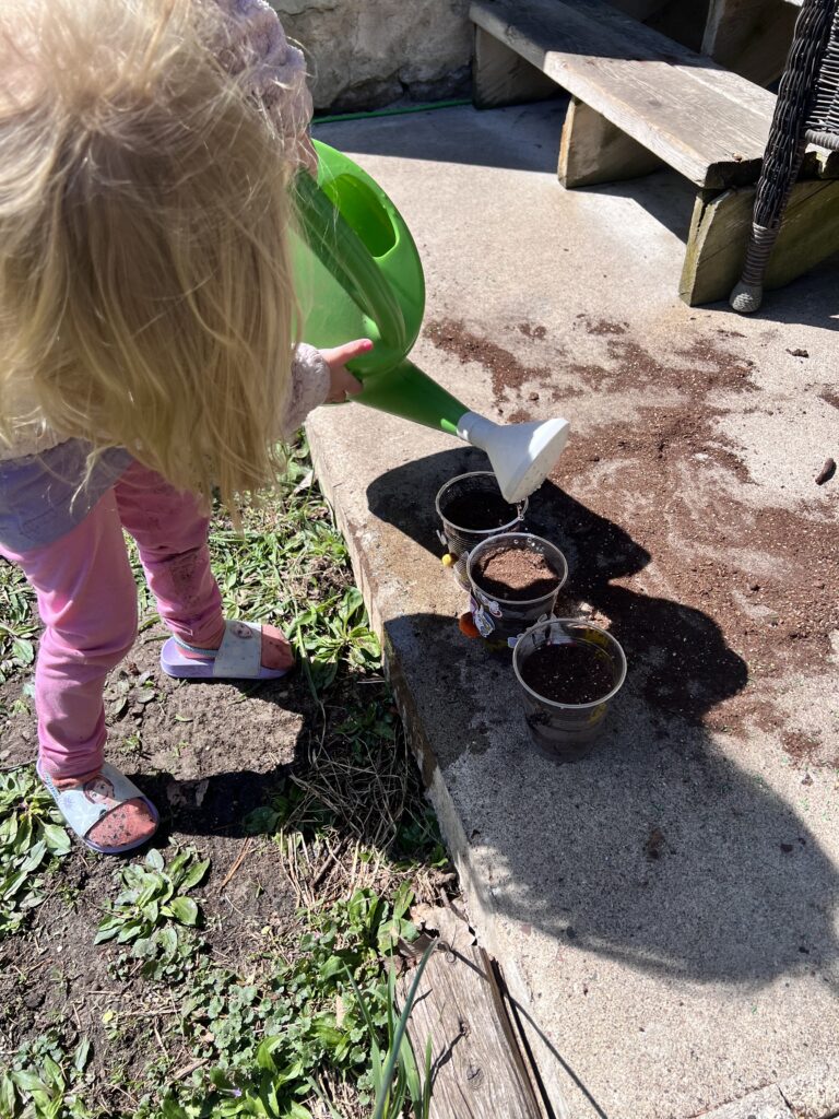 Toddler girls using a watering can for their grass in a cup activity for toddlers.
