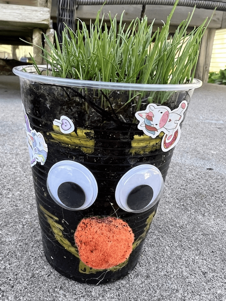 Finished grass in a cup activity for toddlers with long green grass hair.